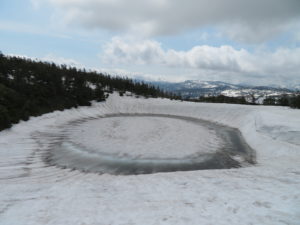 5/24　縁取りがだいぶ融けてきました