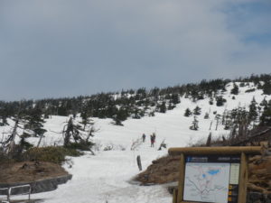 5/4「八幡平山頂」に行ってきました。