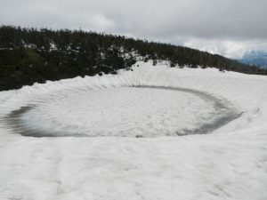 5/18　縁取りが太くなりました