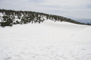 5/4　まだ、真っ白なくぼ地です