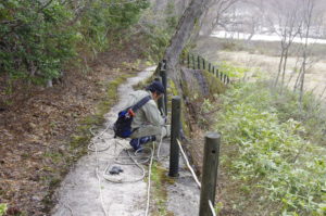大沼自然探勝路のロープ柵設置作業等を行いました