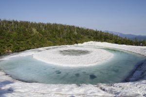 6/9　開眼始まる