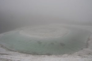 6/11　霧の中でひっそりと