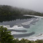 6/25　カエルの合唱