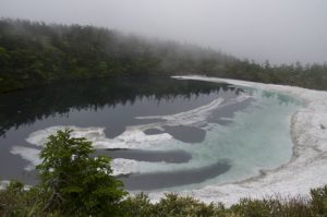 6/25　カエルの合唱