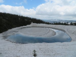 6/2　水面に潤い