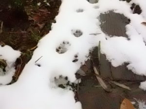 【八幡平ビジターセンター　冬期間休業のお知らせ】