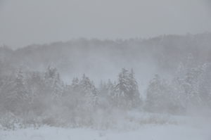 12月20日開催「真冬の噴気地帯を歩く　後生掛・大湯沼へ行ってみよう」の下見に行ってきました。