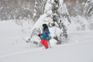 12月28日（月）予約型ガイドウォーク「真冬の大泥火山in後生掛」
