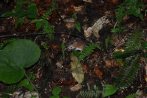 【年末年始休業のお知らせ】