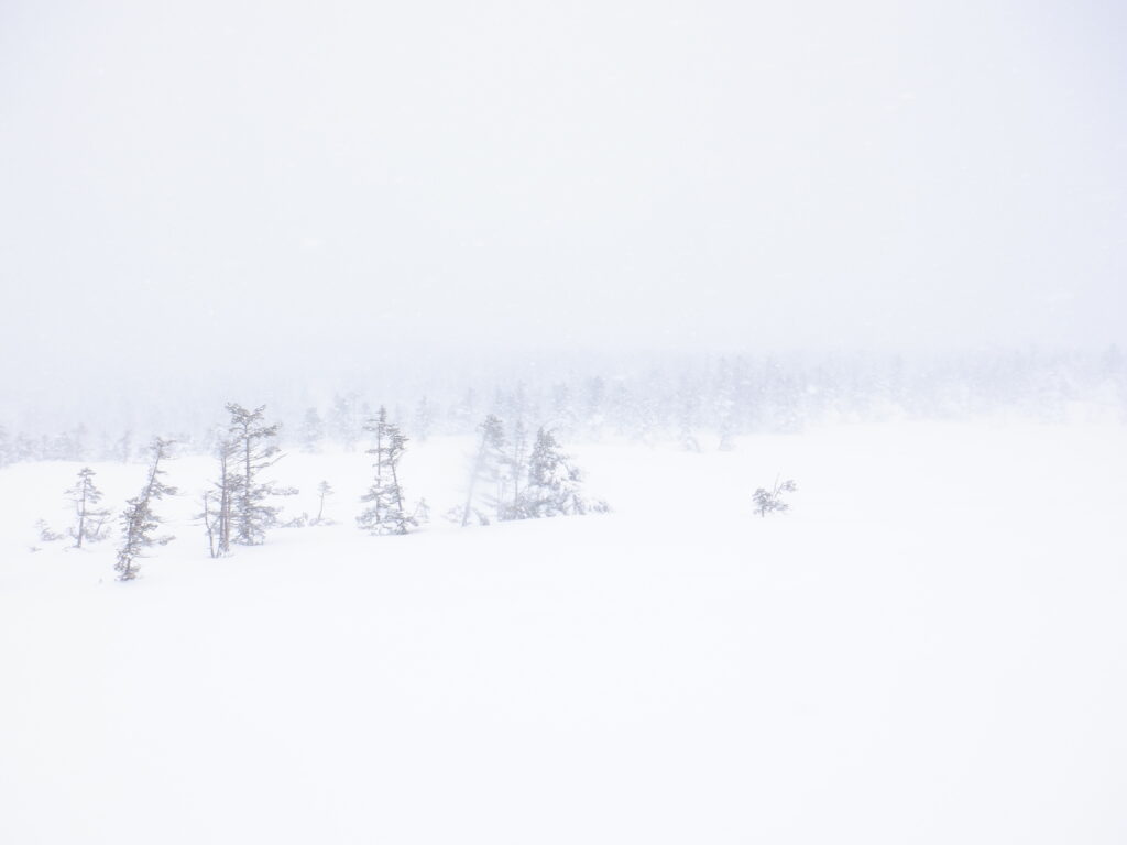 2 25冬山巡視 茶臼岳 風雪 八幡平ビジターセンター Hachimantai Visitor Center