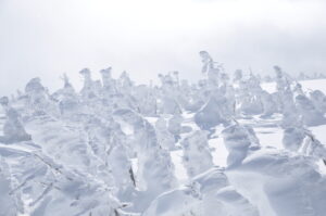 2月27日（土）「登山者の聖地・樹氷原を歩こう」を開催しました。