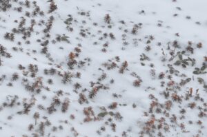 3月20日(土)開催「早春の栂森スノーシューハイキング」の下見に行ってきました。