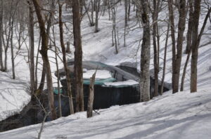 4月24日（土）開催の「早春スノーシュー　秘密の巨木と沼めぐり」の下見に行ってきました。