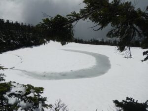 5/2６　昨晩の降雪で・・・