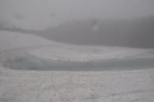 5/30    開眼まであと少し・・・