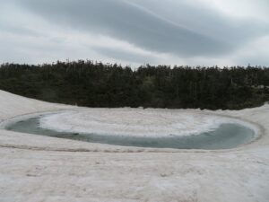 5/2７　雪化粧のあとは・・・