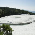 6/11    水面に浮かぶ