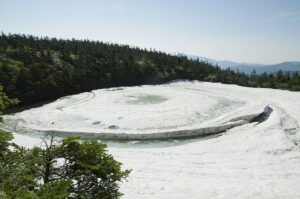6/11    水面に浮かぶ