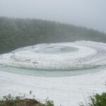 6/16    野鳥の声