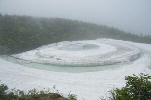 6/16    野鳥の声