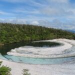 6/２１    静かに・・・