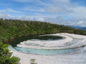 6/２１    静かに・・・