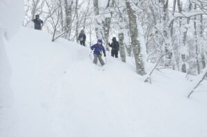 【ご参加ありがとうございました】2月4日【スキーハイクレンタル無料！】スキーハイクで冬山さんぽ「山毛森（ぶなもり）コース」