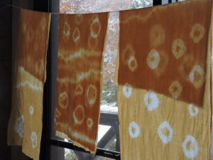 10月23日（土）「草木染め体験～ブナの落ち葉染め～」開催しました