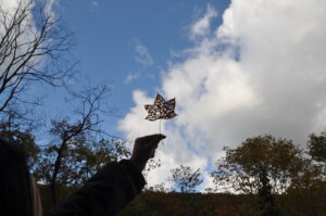 10月24日（日）「秋の里山観察会　志張ふれあい散策路を歩こう」を開催しました。