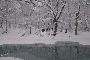 12月25日（土）「ビジターセンター裏山探検」を開催しました。