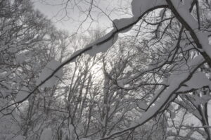 1月9日（日）開催「山毛森の主に逢いに行こう」の下見に行ってきました。