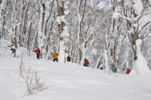 1月22日（土）23日（日）「のんびりスキーハイキング＆湯治STAY　in八幡平」（環境省補助金事業　国立公園・温泉地等での滞在型ツアー・ワーケーション推進事業）を開催しました。