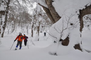 2月12日（土）「スノーハイクで冬山さんぽ」ブナ森コース（環境省補助金事業　国立公園・温泉地等での滞在型ツアー・ワーケーション推進事業）を開催しました。