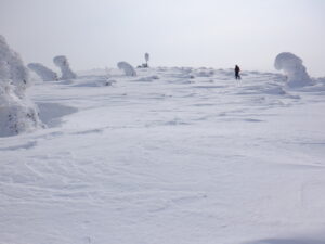 3/11「早春の栂森スノーシューハイキング」下見に行ってきました。