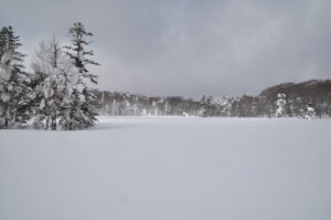 3月13日（日）開催「ベコ谷地スノーシューハイキング」の下見に行ってきました。