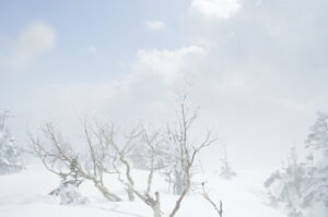 3/3冬山巡視「茶臼岳Ⅲ」強風