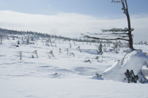 3/9冬山巡視「茶臼岳Ⅳ」晴れ