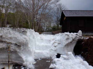 【後生掛自然研究路　散策可能になりました！】