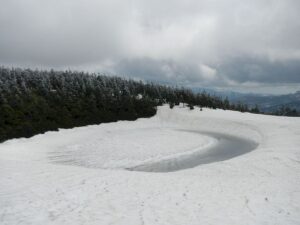 5/15     三日月の水面