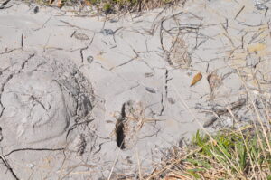 ルールとマナーをお守りください。