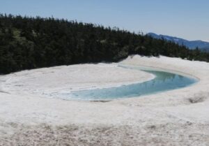 5/30    水面鮮やかに