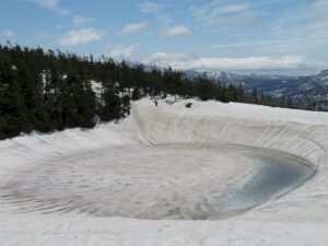5/11     水面が青く・・・・
