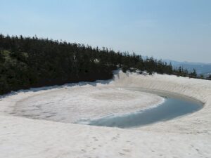 5/２１    水面がさらに広がり・・・