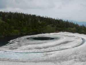 6/22  黒目広がる