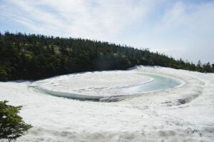 6/5    雨上がりの朝