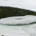 6/15   水面に浮かぶ