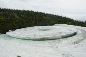 6/15   水面に浮かぶ