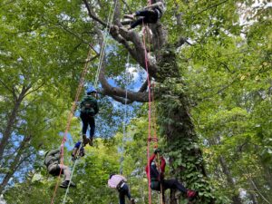 ９月18日「ツリークライミングⓇ体験」＆「森のめぐみでリース作り」開催しました