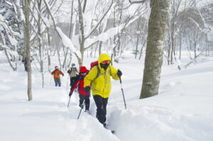 【ご参加ありがとうございました】1月14日【スキーハイクレンタル無料！】スキーハイクで冬山さんぽ「まずは体験！キャンプ場コース」